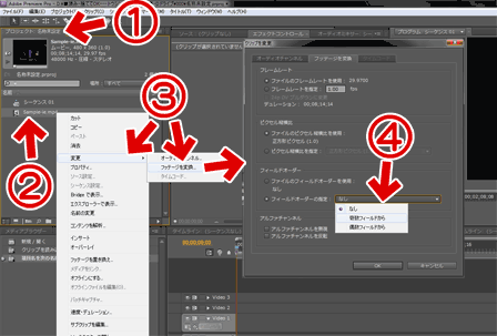 Adobe Premiere Pro CS5の通常のインターレスの指定方法